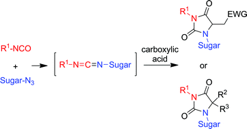 Graphical abstract: Three-component, one-pot sequential synthesis of glyco-hydantoin conjugates