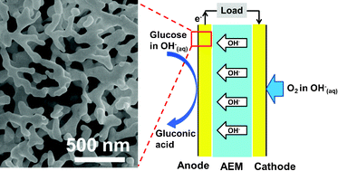 Graphical abstract: Electrochemical growth of gold nanostructures on carbon paper for alkaline direct glucose fuel cell
