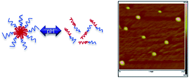 Graphical abstract: The synthetic tuning of clickable pH responsive cationic polypeptides and block copolypeptides