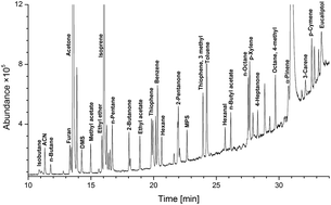 Graphical abstract: Stability of selected volatile breath constituents in Tedlar, Kynar and Flexfilm sampling bags