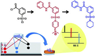 Graphical abstract: Direct monitoring of chemical transformations by combining thin layer chromatography with nanoparticle-assisted laser desorption/ionization mass spectrometry