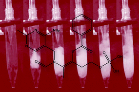 Graphical abstract: Determination of benfothiamine in nutraceuticals using dispersive liquid–liquid microextraction coupled to liquid chromatography