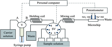 Graphical abstract: Sequential injection analysis of nitrate ions using a microfluidic polymer chip with an embedded ion-selective electrode