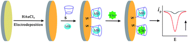 Graphical abstract: A sensitive and selective non-enzyme cholesterol amperometric biosensor based on host–guest effect of β-cyclodextrin for cholesterol
