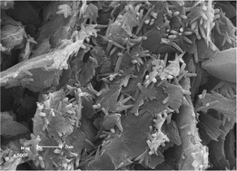 Graphical abstract: Preparation of ferrocene immobilized metal–organic-framework modified electrode for the determination of acetaminophen