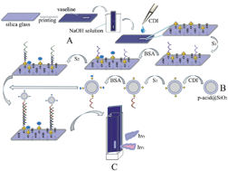 Graphical abstract: Synthesis, characterization of a novel phenyleneethynylene derivative and application in a fluorescence DNA sensor