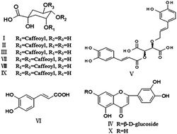 Graphical abstract: Rapid determination of ten polyphenols in Kudiezi injection using ultra-performance liquid chromatography-tandem mass spectrometry in multiple reaction monitoring mode