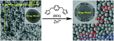 Graphical abstract: Synthesis of core–shell coordination polymer nanoparticles (CPNs) for pH-responsive controlled drug release