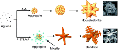 Graphical abstract: Facile growth of silver crystals with greatly varied morphologies by PEO-PPO-PEO tri-block copolymers