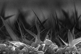 Graphical abstract: GaN nanorods synthesis on single-wall carbon nanotube bundles via substrate confinement