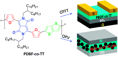 Graphical abstract: Poly(2,5-bis(2-octyldodecyl)-3,6-di(furan-2-yl)-2,5-dihydro-pyrrolo[3,4-c]pyrrole-1,4-dione-co-thieno[3,2-b]thiophene): a high performance polymer semiconductor for both organic thin film transistors and organic photovoltaics