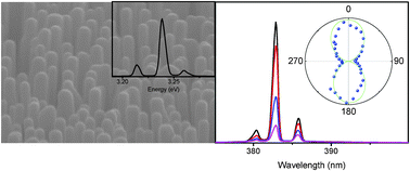 Graphical abstract: Light–matter interaction and polarization of single ZnO nanowire lasers