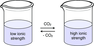 Graphical abstract: Design, synthesis, and solution behaviour of small polyamines as switchable water additives
