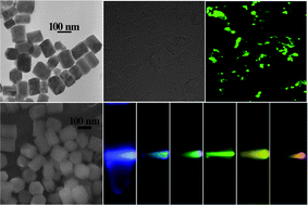 Graphical abstract: One-pot synthesis of water-soluble and carboxyl-functionalized β-NaYF4:Yb,Er(Tm) upconversion nanocrystals and their application for bioimaging