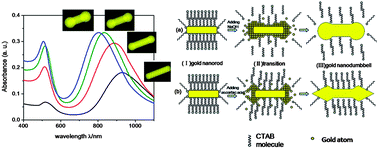 Graphical abstract: From gold nanorods to nanodumbbells: a different way to tailor surface plasmon resonances by a chemical route
