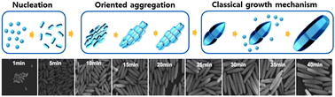Graphical abstract: Kinetically controlled way to create highly uniform mono-dispersed ZnO sub-microrods for electronics