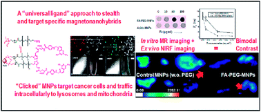 Graphical abstract: Orthogonal biofunctionalization of magnetic nanoparticles via “clickable” poly(ethylene glycol) silanes: a “universal ligand” strategy to design stealth and target-specific nanocarriers