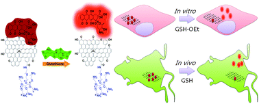 Graphical abstract: A spatiotemporal anticancer drug release platform of PEGylated graphene oxide triggered by glutathione in vitro and in vivo