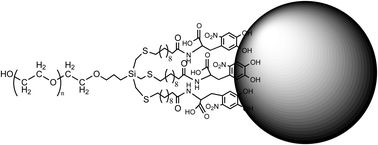 Graphical abstract: Investigation of the stability of magnetite nanoparticles functionalized with catechol based ligands in biological media