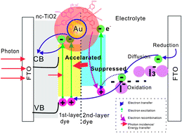 Graphical abstract: Au@SiO2 nanoparticles coupling co-sensitizers for synergic efficiency enhancement of dye sensitized solar cells