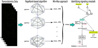 Graphical abstract: PageRank-based identification of signaling crosstalk from transcriptomics data: the case of Arabidopsis thaliana