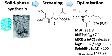 Graphical abstract: Novel selective inhibitors of neutral endopeptidase: discovery by screening and hit-to-lead optimisation