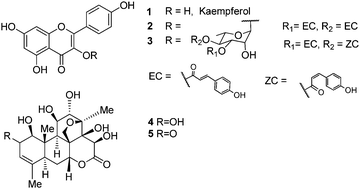 Graphical abstract: Recent discovery of plant-derived anti-diabetic natural products