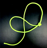 Graphical abstract: Lasso peptides: structure, function, biosynthesis, and engineering