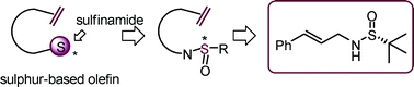 Graphical abstract: Design of N-cinnamyl sulfinamides as new sulfur-containing olefin ligands for asymmetric catalysis: achieving structural simplicity with a categorical linear framework