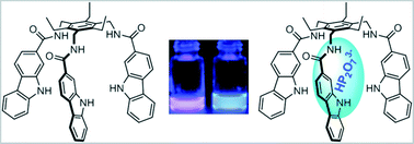 Graphical abstract: Combined study of anion recognition by a carbazole-based neutral tripodal receptor in a competitive environment