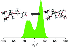 Graphical abstract: Conformational flexibility of the pentasaccharide LNF-2 deduced from NMR spectroscopy and molecular dynamics simulations