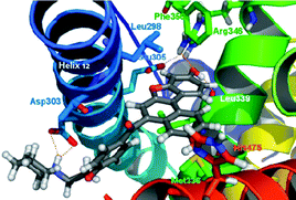 Graphical abstract: Towards β-selectivity in functional estrogen receptor antagonists