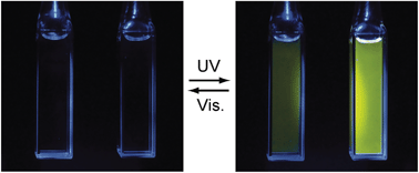 Graphical abstract: Photoswitchable fluorescent diarylethene derivatives with short alkyl chain substituents