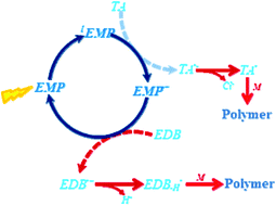 Graphical abstract: Optimization of a photopolymerizable material based on a photocyclic initiating system using holographic recording