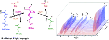 Graphical abstract: Transesterification of functional methacrylate monomers during alcoholic copper-catalyzed atom transfer radical polymerization: formation of compositional and architectural side products