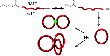 Graphical abstract: Cyclic polystyrene topologies via RAFT and CuAAC