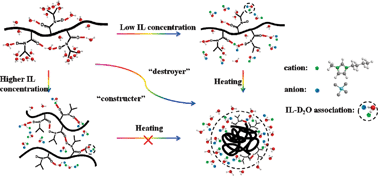 Graphical abstract: The influence of ionic liquid on phase separation of poly(N-isopropylacrylamide) aqueous solution