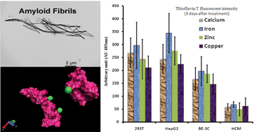Graphical abstract: Interdisciplinary challenges and promising theranostic effects of nanoscience in Alzheimer's disease