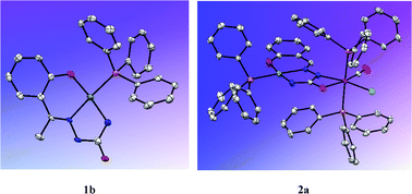 Graphical abstract: Mononuclear palladium and heterodinuclear palladium–ruthenium complexes of semicarbazone ligands. Synthesis, characterization, and application in C–C cross-coupling reactions