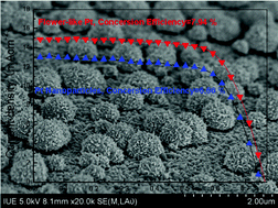 Graphical abstract: Template-free synthesis of a hierarchical flower-like platinum counter electrode and its application in dye-sensitized solar cells