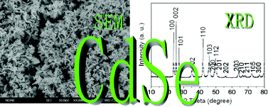 Graphical abstract: Growth of flower-like CdSe dendrites from a Brønsted acid–base ionic liquid precursor
