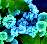 Graphical abstract: Synthesis of hierarchical anatase TiO2 nanostructures with tunable morphology and enhanced photocatalytic activity