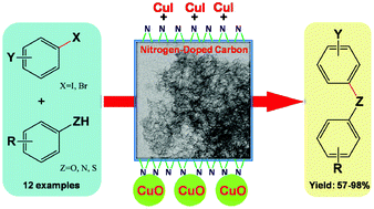 Graphical abstract: Mesoporous nitrogen-doped carbon for copper-mediated Ullmann-type C–O/–N/–S cross-coupling reactions