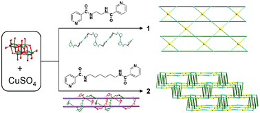 Graphical abstract: Two novel octamolybdate-based frameworks decorated by flexible bis-pyridyl-bis-amide ligands with different spacer lengths