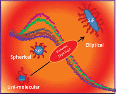 Graphical abstract: Self-assembly of a semi-fluorinated diblock copolymer in a selective solvent