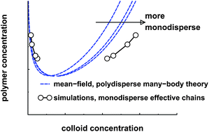 Graphical abstract: A simple many-body Hamiltonian for polymer–colloid mixtures: simulations and mean-field theory