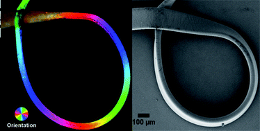 Graphical abstract: Hydrodynamically directed multiscale assembly of shaped polymer fibers