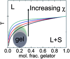 Graphical abstract: Investigation of the relationships between the thermodynamic phase behavior and gelation behavior of a series of tripodal trisamide compounds