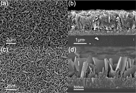 Graphical abstract: Nanosheet array assembled by TiO2 nanocrystallites with {116} facets parallel to the nanosheet surface