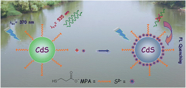 Graphical abstract: Direct detection of sulfide ions [S2−] in aqueous media based on fluorescence quenching of functionalized CdS QDs at trace levels: analytical applications to environmental analysis